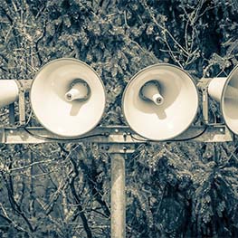 Image is not available