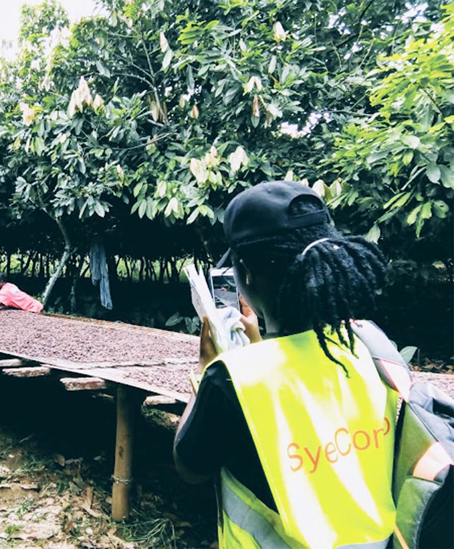 Modernising Agriculture in Ghana (MAG)