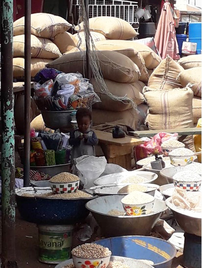 Enhancing Aflatoxin Management in Ghana's Maize and Groundnuts
(EAMMAG)